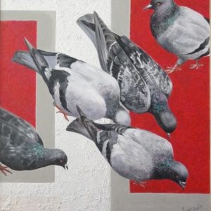 Pigeons